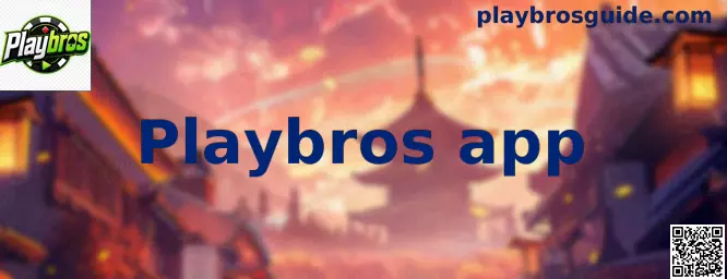 Guía visual de Playbros app