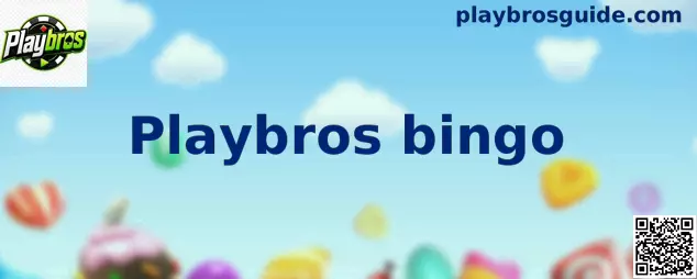 Interfaz de instrucciones de Playbros bingo