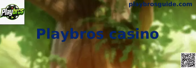 Guía visual de Playbros casino