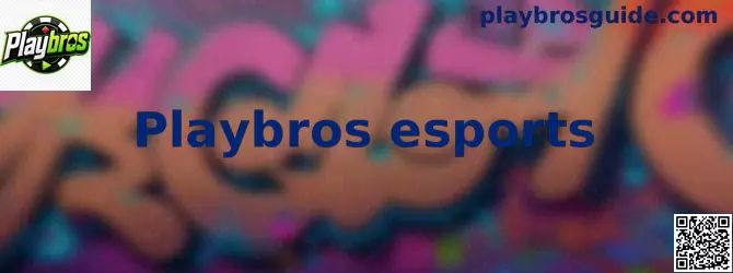 Instrucciones visuales de Playbros esports